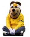 Bear mascot costume