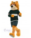 Bear mascot costume