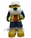 Bear mascot costume