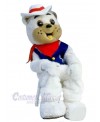 Bear mascot costume