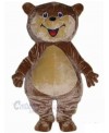 Bear mascot costume