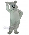 Bear mascot costume