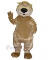 Bear mascot costume