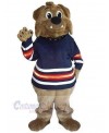 Bear mascot costume