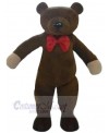 Bear mascot costume