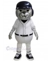 Bear mascot costume