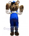 Bear mascot costume