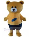 Bear mascot costume