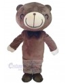 Bear mascot costume