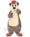 Bear mascot costume