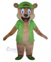 Bear mascot costume