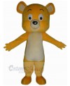 Bear mascot costume