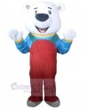 Bear mascot costume