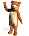 Bear mascot costume
