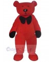 Bear mascot costume