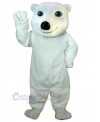 Bear mascot costume