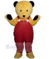 Bear mascot costume