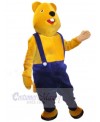 Bear mascot costume