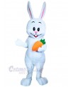 Bunny mascot costume