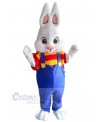 Bunny mascot costume