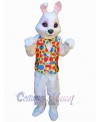 Easter Bunny Rabbit mascot costume