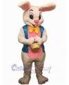Easter Bunny Rabbit mascot costume