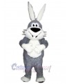 Easter Bunny Rabbit mascot costume