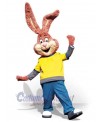 Easter Bunny Rabbit mascot costume