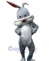 Easter Bunny Rabbit mascot costume