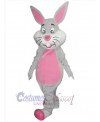 Easter Bunny Rabbit mascot costume
