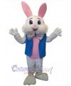 Easter Bunny Rabbit mascot costume