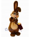 Easter Bunny Rabbit mascot costume