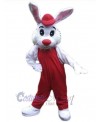 Easter Bunny Rabbit mascot costume