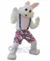 Easter Bunny Rabbit mascot costume