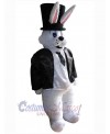 Easter Bunny Rabbit mascot costume