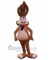 Easter Bunny Rabbit mascot costume