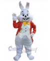 Easter Bunny Rabbit mascot costume