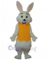 Easter Bunny Rabbit mascot costume
