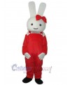 Easter Bunny Rabbit mascot costume