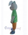 Easter Bunny Rabbit mascot costume