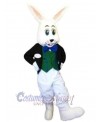 Easter Bunny Rabbit mascot costume