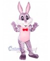 Easter Bunny Rabbit mascot costume