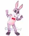 Easter Bunny Rabbit mascot costume