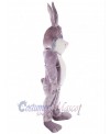 Easter Bunny Rabbit mascot costume