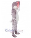 Easter Bunny Rabbit mascot costume