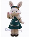 Easter Bunny Rabbit mascot costume