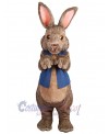 Easter Bunny Rabbit mascot costume