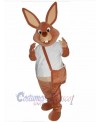 Easter Bunny Rabbit mascot costume