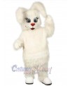 Easter Bunny Rabbit mascot costume