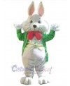 Easter Bunny Rabbit mascot costume